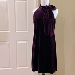 Vince Camuto velvet dress